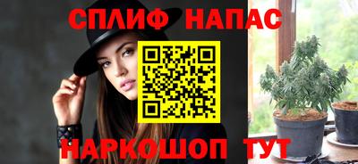Альфа ПВП Можайск