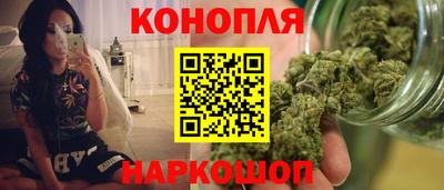сатива Моздок