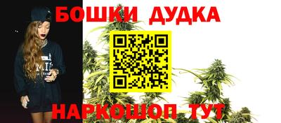 сатива Моздок