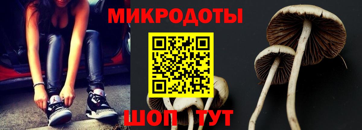 Соликамск  Псилоцибиновые грибы MAGIC MUSHROOMS  Вход с VPN 